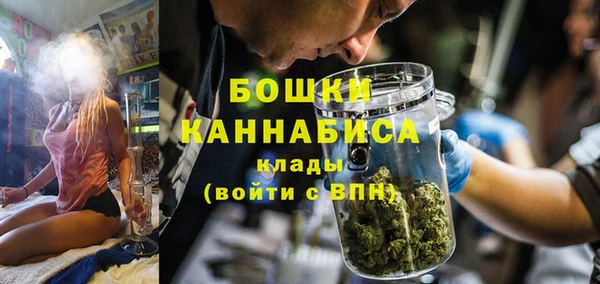 индика Алексеевка
