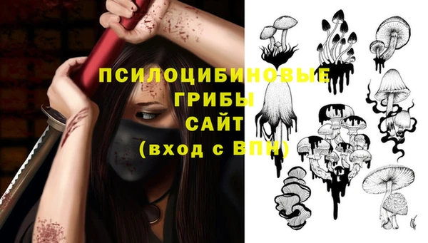 прущие крисы Арсеньев