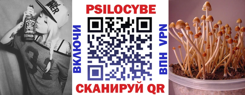 mega вход  Ярославль  Псилоцибиновые грибы Cubensis 