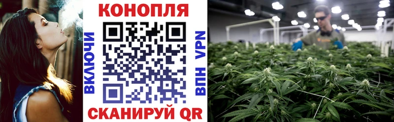 МАРИХУАНА конопля  дарк нет телеграм  Ярославль  kraken вход 
